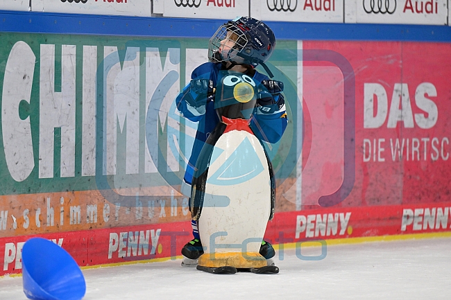Eishockey, Herren, DEL, Saison 2024-2025, ERC Ingolstadt - Kids On Ice Day, 11.01.2025