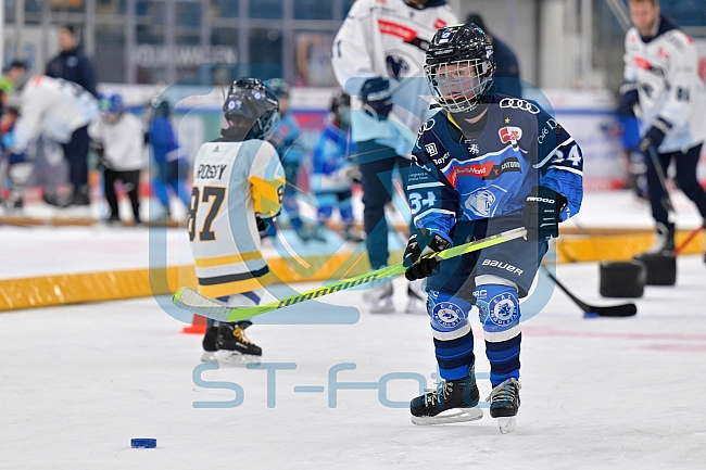 Eishockey, Herren, DEL, Saison 2023-2024, ERC Ingolstadt - Kids on Ice Day, 18.11.2023