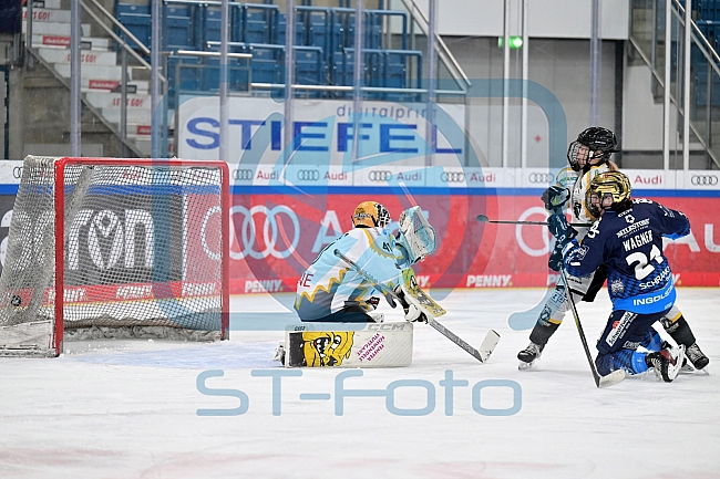 Eishockey, Frauen, DFEL, Saison 2024-2025, ERC Ingolstadt - Mad Dogs Mannheim, 23.11.2024