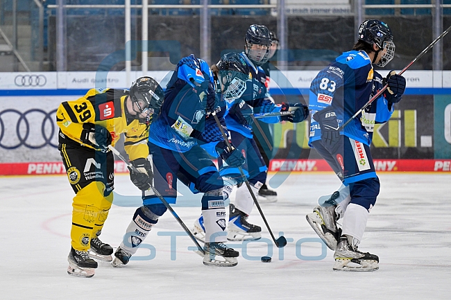 Eishockey, Herren, U20 DNL, Saison 2025-2026, ERC Ingolstadt - Krefeld Pinguine, 10.01.2026