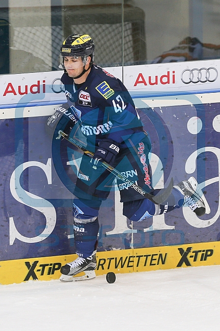 ERC Ingolstadt - Grizzlys Wolfsburg, Eishockey, DEL, Deutsche Eishockey Liga, Spieltag 12, 18.10..2015