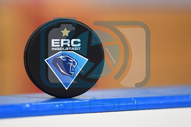 ERC Ingolstadt vs Adler Mannheim, Eishockey, DEL, Deutsche Eishockey Liga, Spieltag 46, 10.02.2017