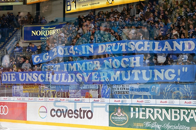 ERC Ingolstadt vs Grizzlys Wolfsburg, Eishockey, DEL, Deutsche Eishockey Liga, Spieltag 37, 13.01.2017