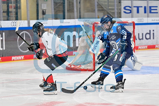 Eishockey, Frauen, DFEL, Saison 2025-2026, ERC Ingolstadt - HK Budapest, 15.11.2025