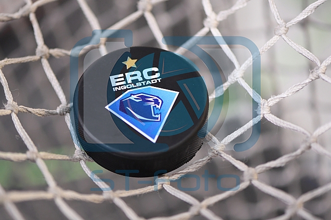 ERC Ingolstadt vs Adler Mannheim, Eishockey, DEL, Deutsche Eishockey Liga, Spieltag 46, 10.02.2017
