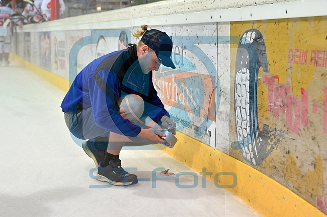 Eishockey, Herren, DEL, Saison 2024-2025, Iserlohn Roosters - HC TIWAG Innsbruck, 25.08.2024