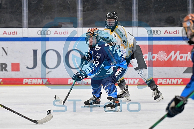 Eishockey, Frauen, DFEL, Saison 2024-2025, ERC Ingolstadt - Mad Dogs Mannheim, 23.11.2024
