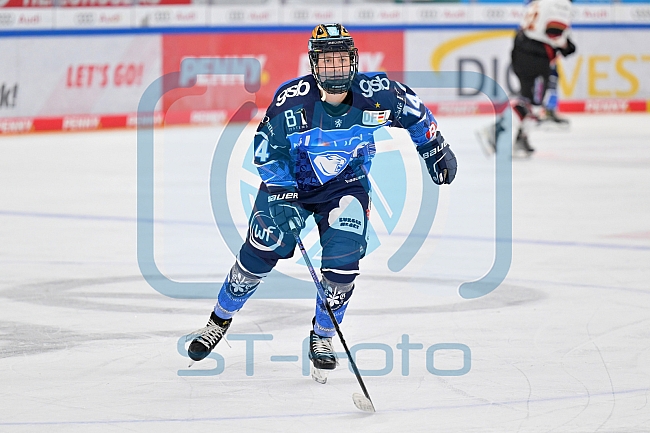 Eishockey, Frauen, DFEL, Saison 2023-2024, ERC Ingolstadt - EC Bergkamener Bären, 28.10.2023