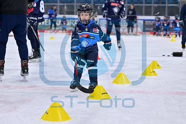 Eishockey, Herren, DEL, Saison 2024-2025, ERC Ingolstadt - Kids On Ice Day, 11.01.2025