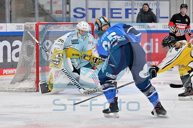 Eishockey, Frauen, DFEL, Saison 2023-2024, ERC Ingolstadt - Mad Dogs Mannheim, 18.02.2024