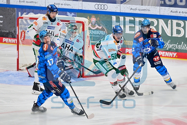 Eishockey, Herren, DEL, Saison 2025-2026, Spiel 19, ERC Ingolstadt - Augsburger Panther, 16.11.2025
