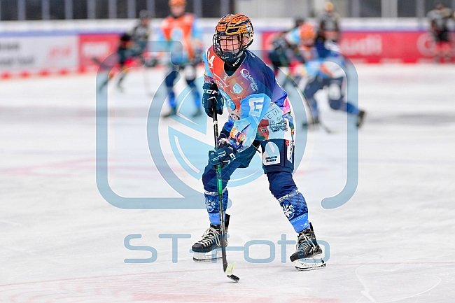 Eishockey, Frauen, DFEL, Saison 2024-2025, ERC Ingolstadt - EC Bergkamener Bären, 05.01.2025