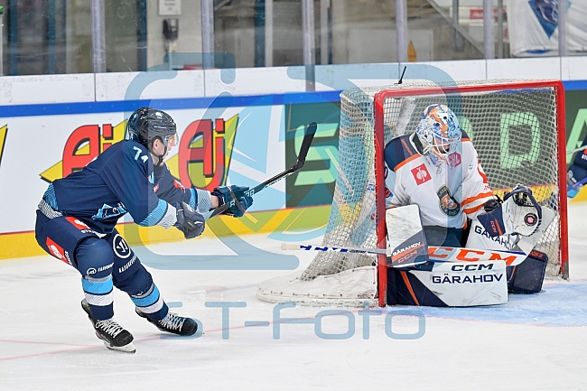 Eishockey, Mens, CHL, Season 2023-2024, ERC Ingolstadt - Växjö Lakers, 10.10.2023