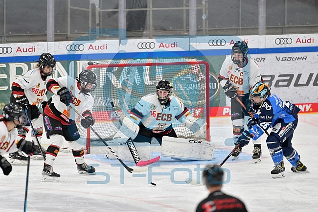Eishockey, Frauen, DFEL, Saison 2023-2024, ERC Ingolstadt - EC Bergkamener Bären, 28.10.2023