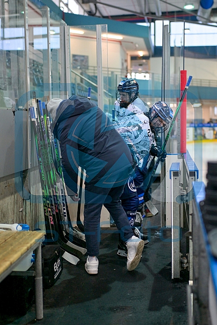 Eishockey, Frauen, DFEL, Saison 2025-2026, ERC Ingolstadt - ECDC Memmingen Indians, 25.01.2026