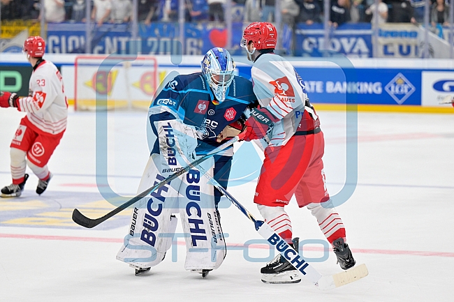 Hockey, Mens, CHL, Season 2025-2026, Regular Season, Game Day 6, ERC Ingolstadt - Odense Bulldogs, 15.10.2025