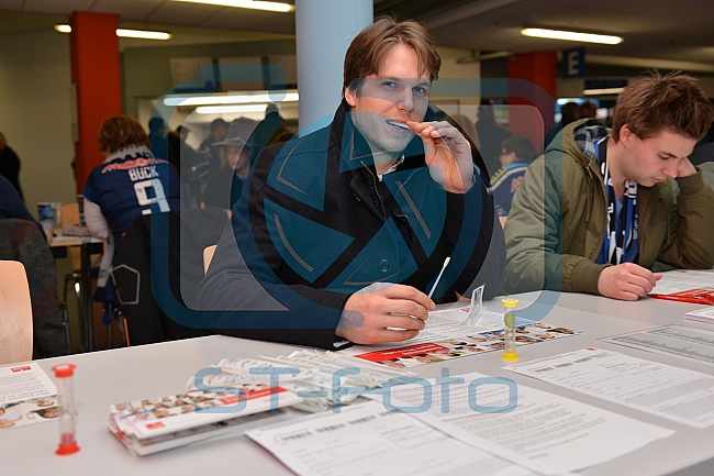 ERC Ingolstadt vs Grizzlys Wolfsburg, Eishockey, DEL, Deutsche Eishockey Liga, 31.01.2016