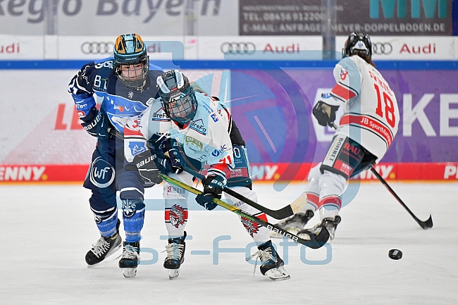 Eishockey, Frauen, DFEL, Saison 2023-2024, ERC Ingolstadt - ECDC Memmingen Indians, 07.10.2023