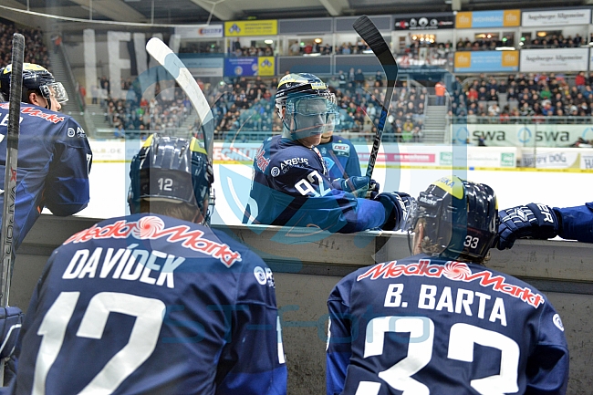 Augsburger Panther vs ERC Ingolstadt, Eishockey, DEL, Deutsche Eishockey Liga, 11.12.2015