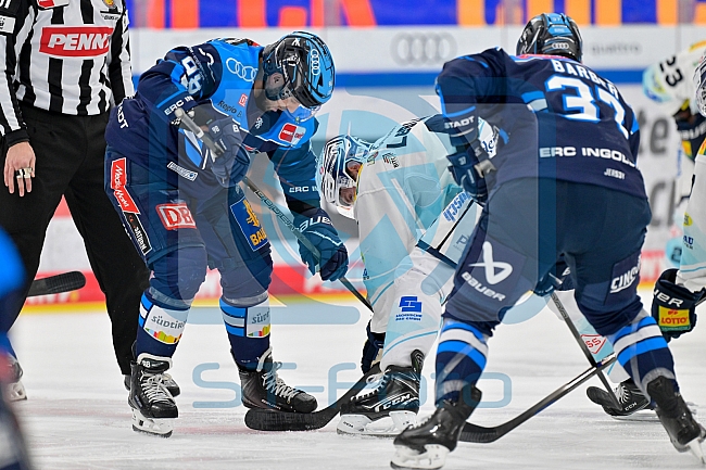 Eishockey, Herren, DEL, Saison 2025-2026, Spiel 44, ERC Ingolstadt - Dresdner Eislöwen, 27.01.2026