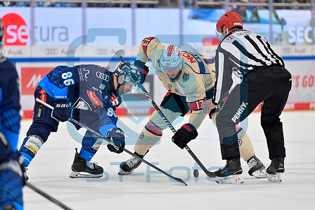 Eishockey, Herren, DEL, Saison 2024-2025, Playoffs Viertelfinale, Spiel 1, ERC Ingolstadt - Nürnberg Ice Tigers, 16.03.2025