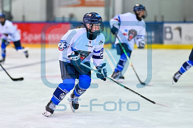 Eishockey, Frauen, DFEL, Saison 2026-2027, ERC Ingolstadt - Eisbären Juniors Berlin, 20.09.2026