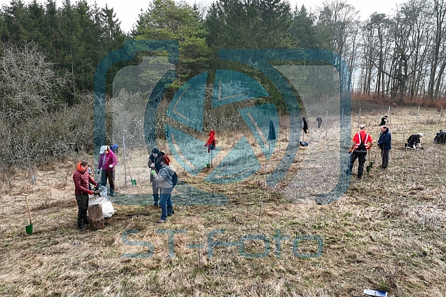 Eishockey, Herren, DEL, Saison 2023-2024, ERC Ingolstadt - Baumpflanzaktion, 03.03.2024