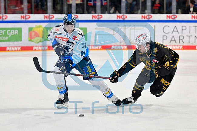 Eishockey, Herren, DEL, Saison 2024-2025, Playoffs Viertelfinale, Spiel 1, Nürnberg Ice Tigers - ERC Ingolstadt, 18.03.2025