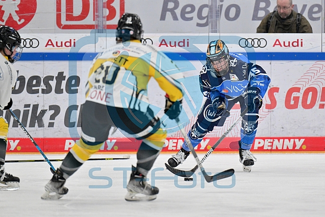Eishockey, Frauen, DFEL, Saison 2023-2024, ERC Ingolstadt - Mad Dogs Mannheim, 18.02.2024