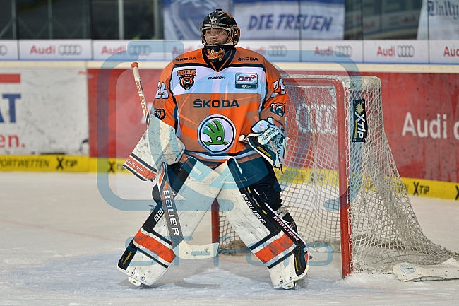 ERC Ingolstadt vs Grizzlys Wolfsburg, Eishockey, DEL, Deutsche Eishockey Liga, 31.01.2016