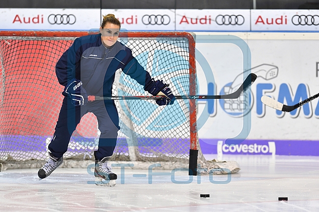 ERC Ingolstadt, Eishockey, DEL, Deutsche Eishockey Liga, 10.11.2017