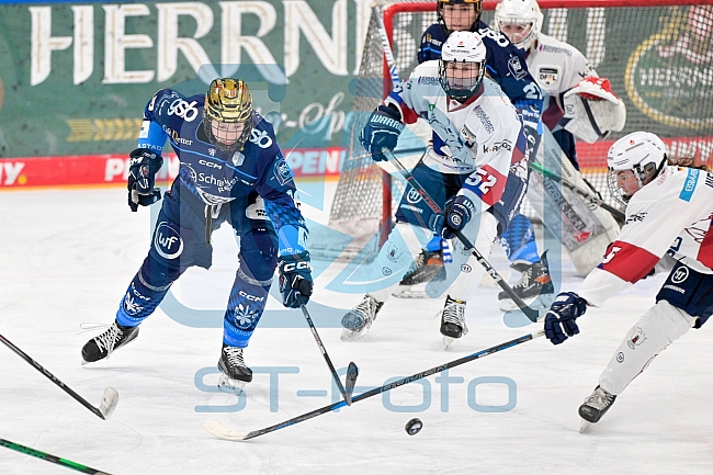 Eishockey, Frauen, DFEL, Saison 2024-2025, ERC Ingolstadt - Eisbären Berlin, 15.02.2025