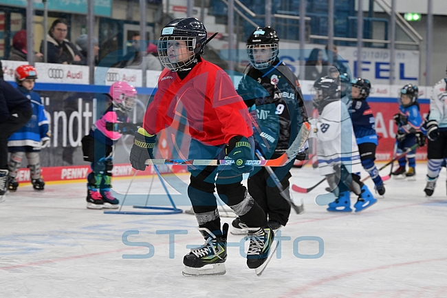 Eishockey, Herren, DEL, Saison 2024-2025, ERC Ingolstadt - Kids On Ice Day, 11.01.2025
