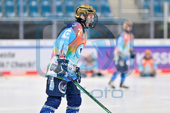 Eishockey, Frauen, DFEL, Saison 2024-2025, ERC Ingolstadt - ECDC Memmingen Indians, 16.11.2024