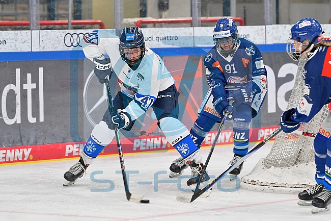 Eishockey, Frauen, DFEL, Saison 2026-2027, Testspiel, ERC Ingolstadt - ZSC Lions Zürich, 05.09.2026
