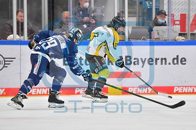 Eishockey, Frauen, DFEL, Saison 2021-2022, ERC Ingolstadt - Mad Dogs Mannheim, 24.10.2021