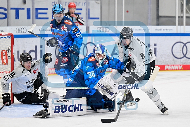 Eishockey, Herren, DEL, Saison 2025-2026, Spiel 16, ERC Ingolstadt - Kölner Haie, 31.10.2025