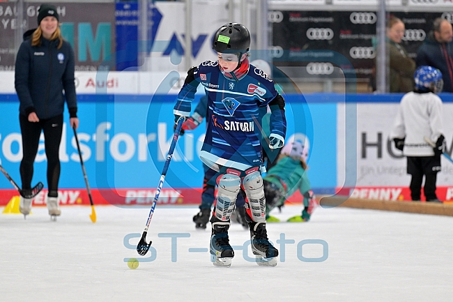 Eishockey, Herren, DEL, Saison 2023-2024, ERC Ingolstadt - Kids on Ice Day, 18.11.2023