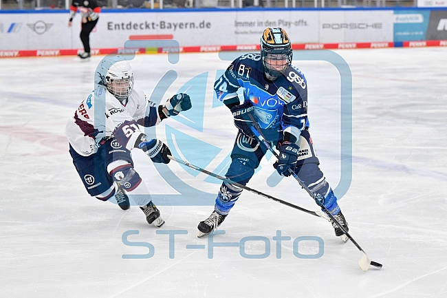 Eishockey, Frauen, DFEL, Playoffs, Saison 2023-2024, ERC Ingolstadt - Eisbären Berlin, 02.03.2024