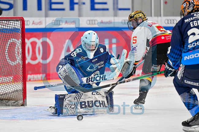 Eishockey, Frauen, DFEL, Saison 2024-2025, ERC Ingolstadt - EC Bergkamener Bären, 05.01.2025