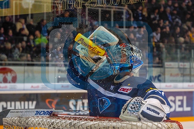 ERC Ingolstadt vs Thomas Sabo Ice Tigers, Eishockey, DEL, Deutsche Eishockey Liga, Spieltag 34,  03.01.2017