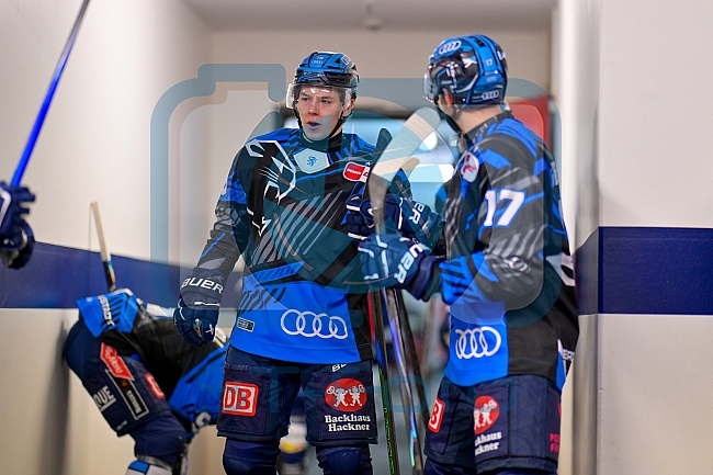Eishockey, Herren, DEL, Saison 2025-2026, Spiel 50, ERC Ingolstadt - Adler Mannheim, 08.03.2026