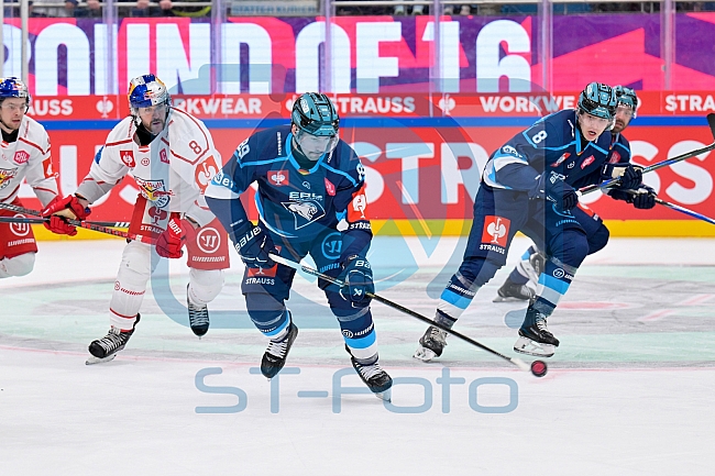 Hockey, Mens, CHL, Season 2025-2026, Regular Season, Round of 16, ERC Ingolstadt - EC Red Bull Salzburg, 12.11.2025