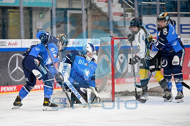 Eishockey, Frauen, DFEL, Saison 2023-2024, ERC Ingolstadt - Mad Dogs Mannheim, 18.02.2024