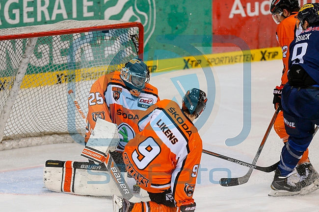 ERC Ingolstadt  - Grizzlys Wolfsburg, Eishockey, DEL, Deutsche Eishockey Liga, Spieltag 42, 31.01.2016