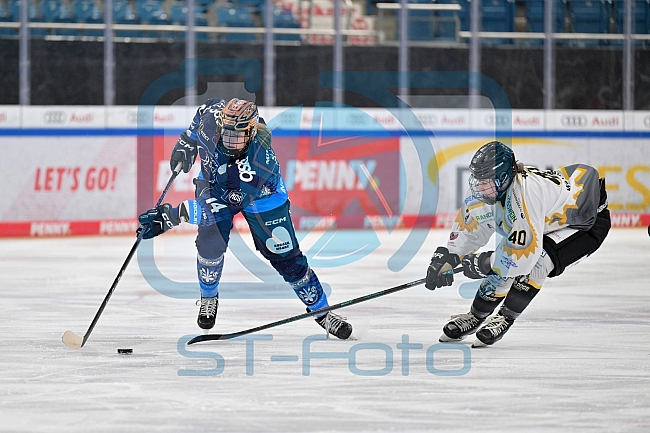 Eishockey, Frauen, DFEL, Saison 2024-2025, ERC Ingolstadt - Mad Dogs Mannheim, 23.11.2024
