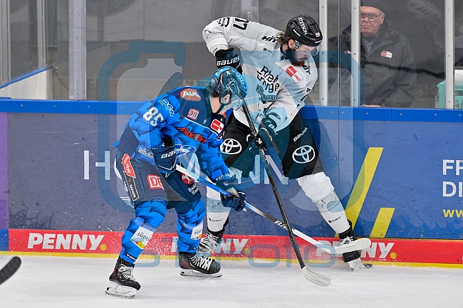 Eishockey, Herren, DEL, Saison 2025-2026, Spiel 16, ERC Ingolstadt - Kölner Haie, 31.10.2025