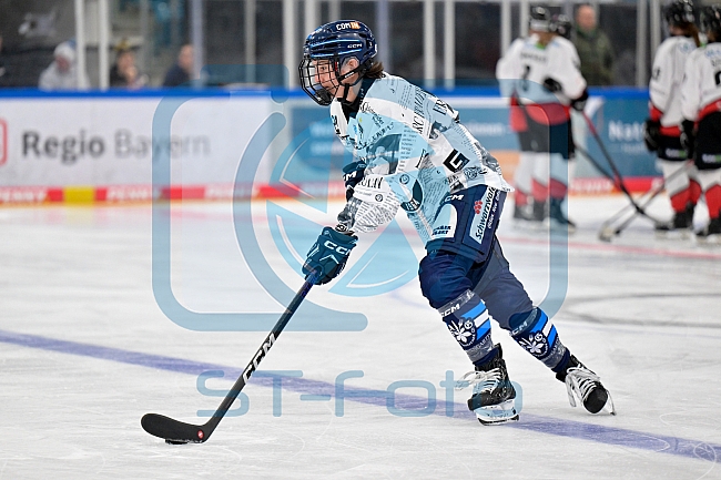 Eishockey, Frauen, DFEL, Saison 2025-2026, ERC Ingolstadt - HK Budapest, 15.11.2025