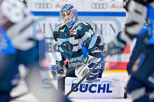 Eishockey, Herren, DEL, Saison 2024-2025, Playoffs Halbfinale, Spiel 3, ERC Ingolstadt - Kölner Haie, 06.04.2025