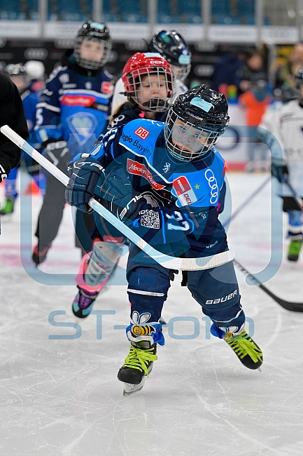 Eishockey, Saison 2025-2026, ERC Ingolstadt - Kids On Ice Day, 10.01.2026